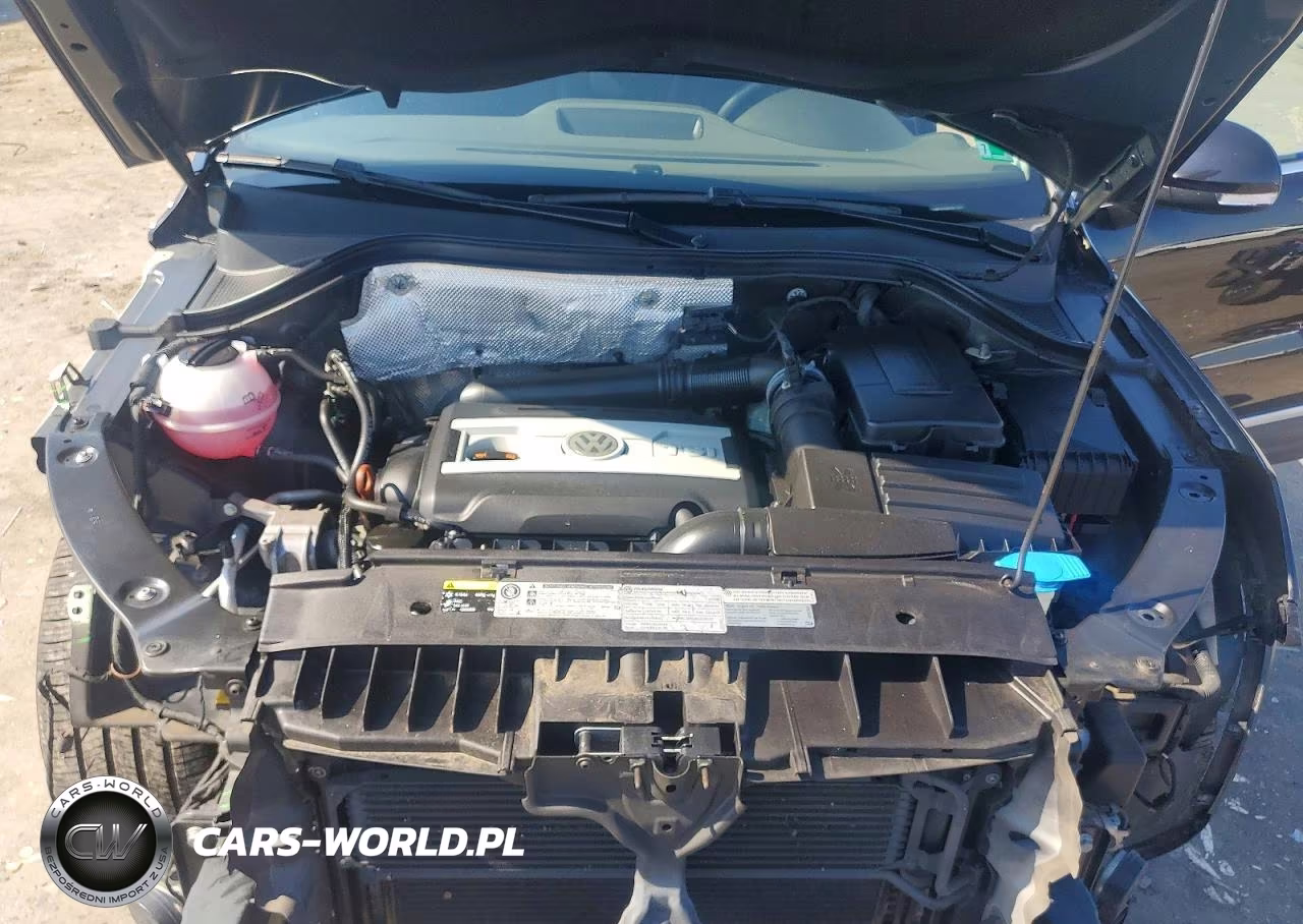 2013 Volkswagen Tiguan S VIN:WVGBV3AX5DW577256 - 12