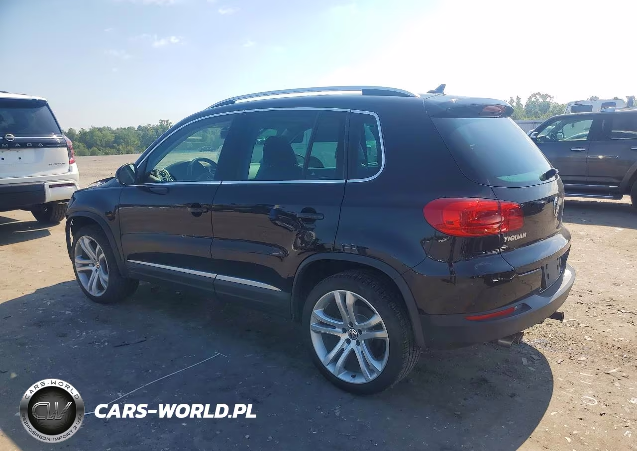 2013 Volkswagen Tiguan S VIN:WVGBV3AX5DW577256 - 2