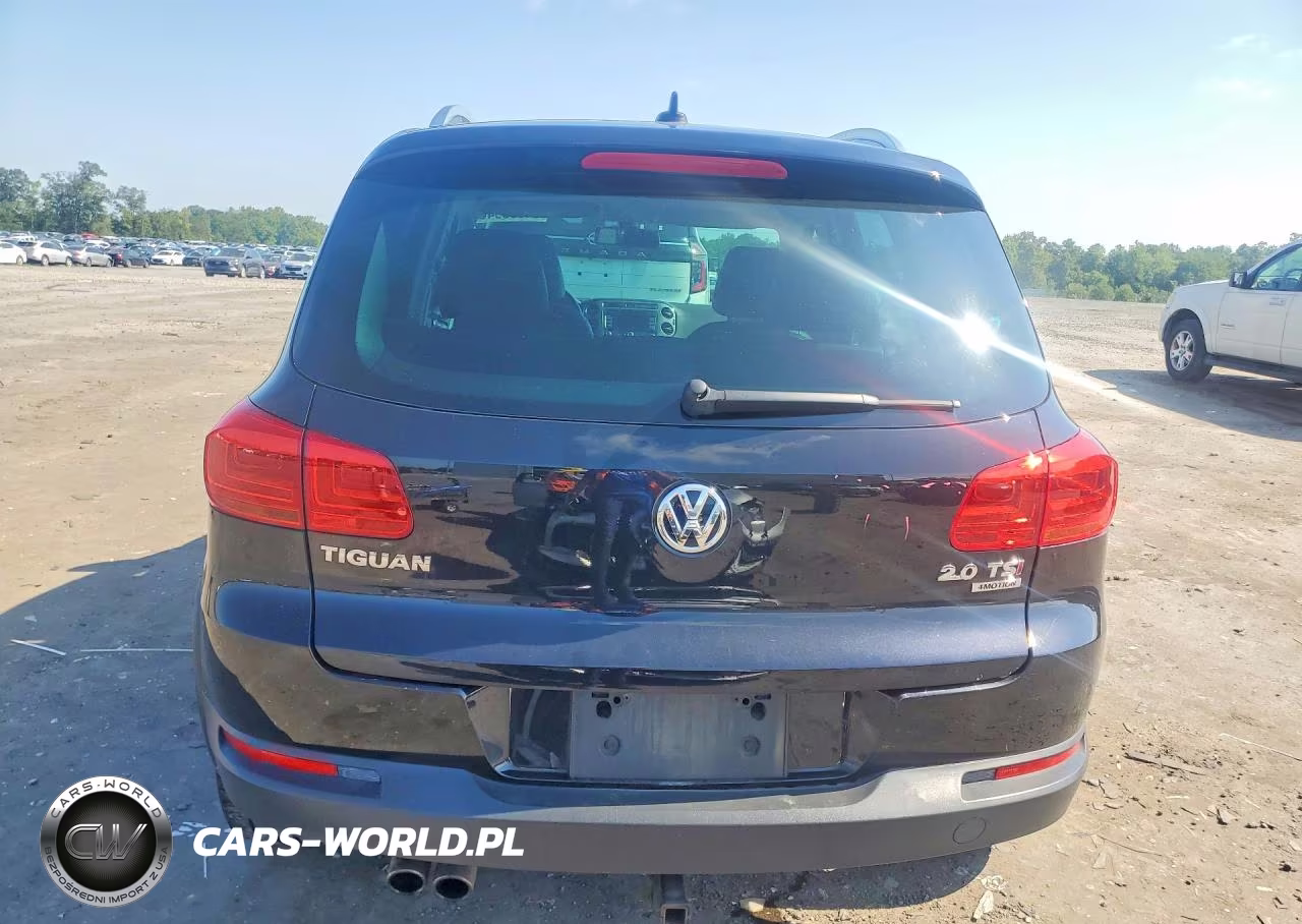 2013 Volkswagen Tiguan S VIN:WVGBV3AX5DW577256 - 6