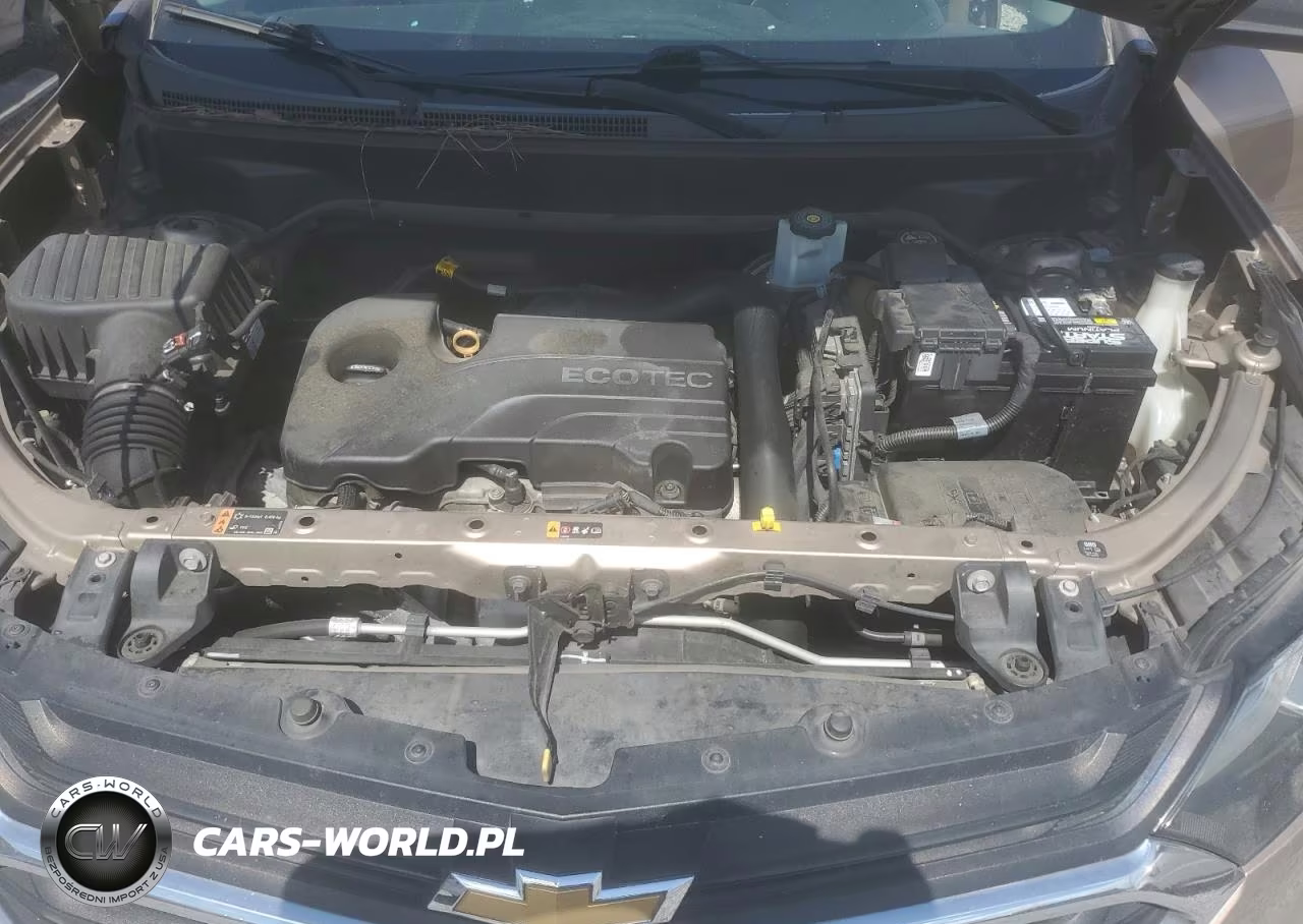 2019 Chevrolet Equinox Ls VIN:3GNAXHEV3KL116003 - 12