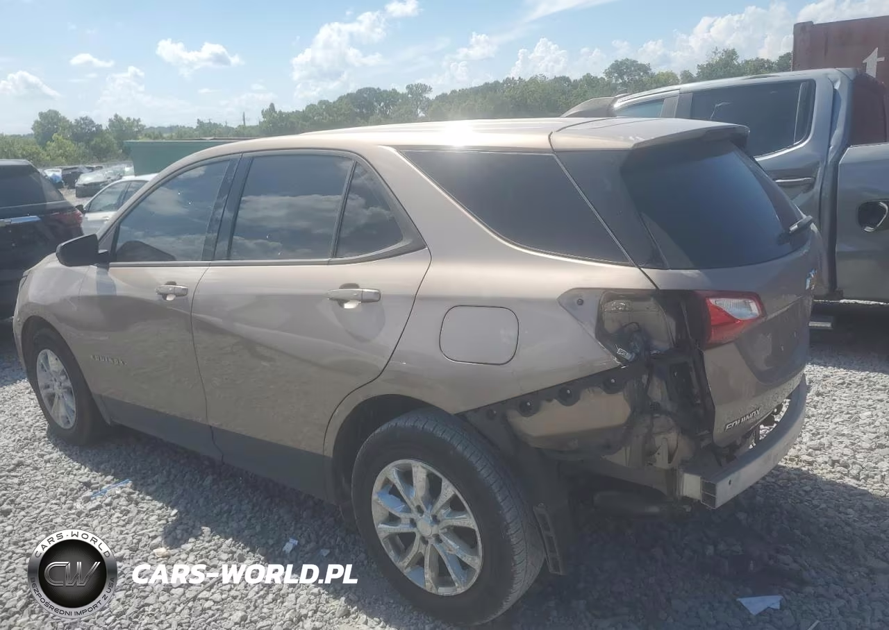 2019 Chevrolet Equinox Ls VIN:3GNAXHEV3KL116003 - 2