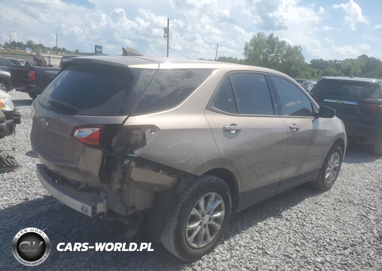 2019 Chevrolet Equinox Ls VIN:3GNAXHEV3KL116003 - 3