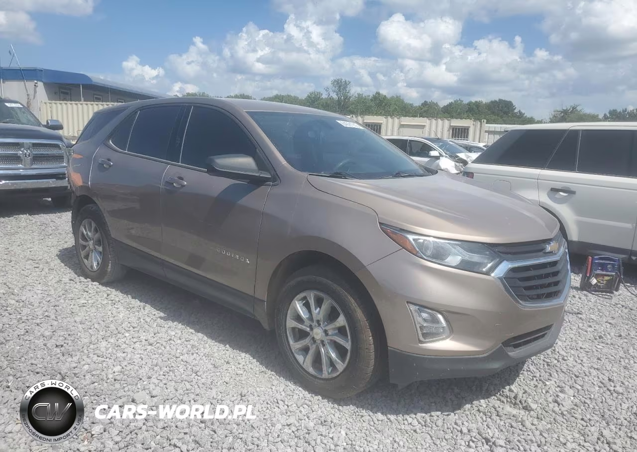 2019 Chevrolet Equinox Ls VIN:3GNAXHEV3KL116003 - 4