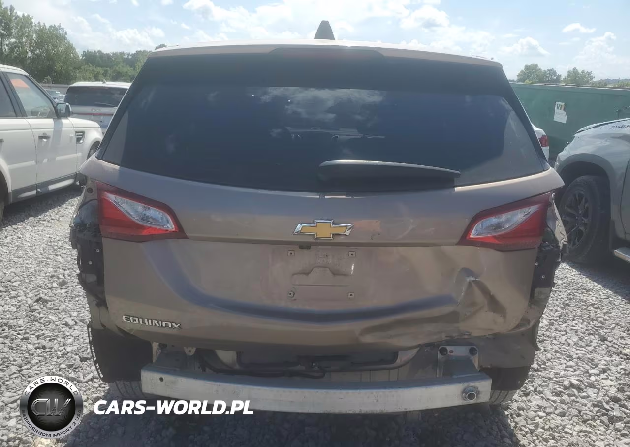 2019 Chevrolet Equinox Ls VIN:3GNAXHEV3KL116003 - 6