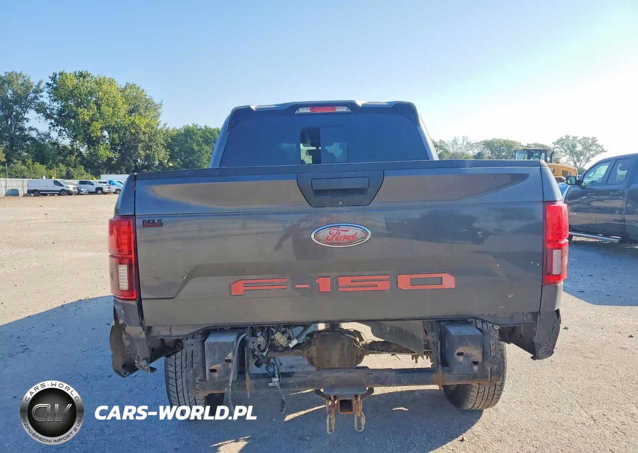 2019 Ford F150 Supercrew VIN:1FTEW1E55KKE12517 - 6