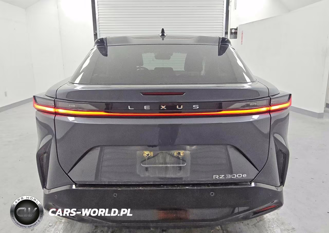 2024 Lexus Rz 300E VIN:JTJABABB7RA006935 - 6