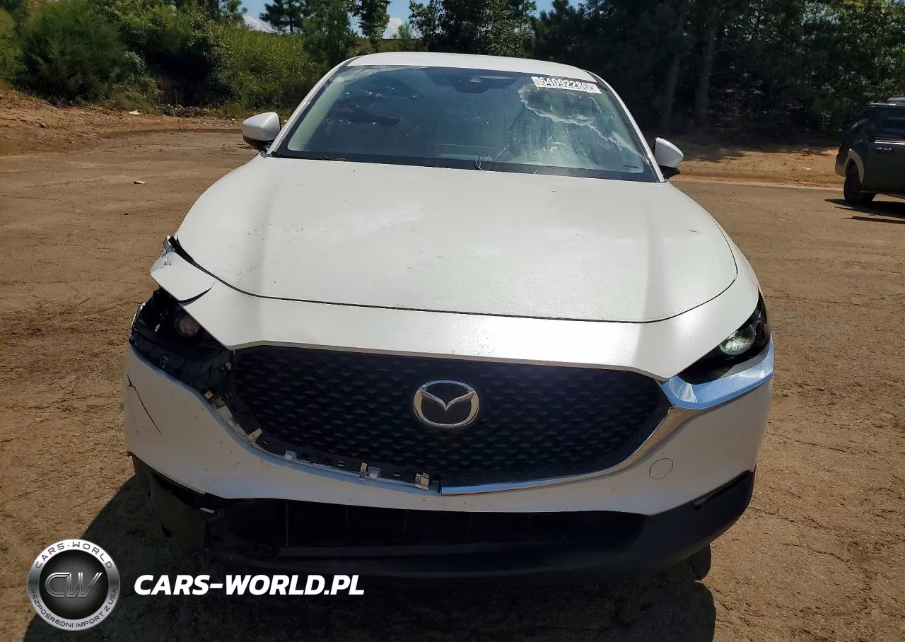 2021 Mazda Cx-30 Select VIN:3MVDMBBL2MM213333 - 5