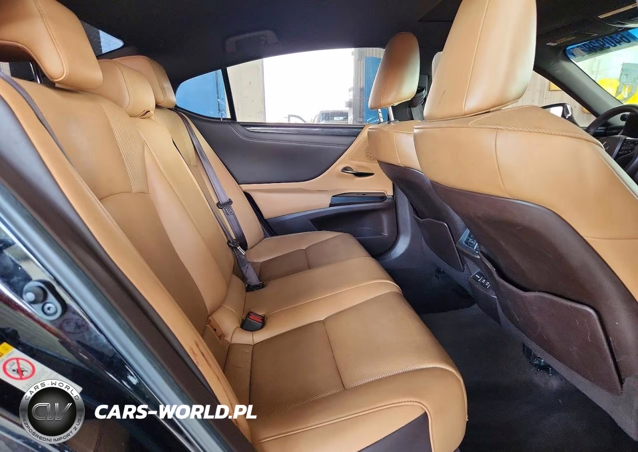 2019 Lexus Es 350 VIN:58ABZ1B12KU043880 - 10