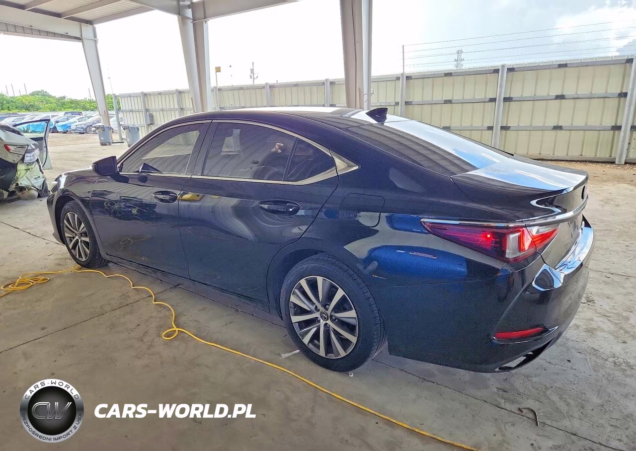 2019 Lexus Es 350 VIN:58ABZ1B12KU043880 - 2