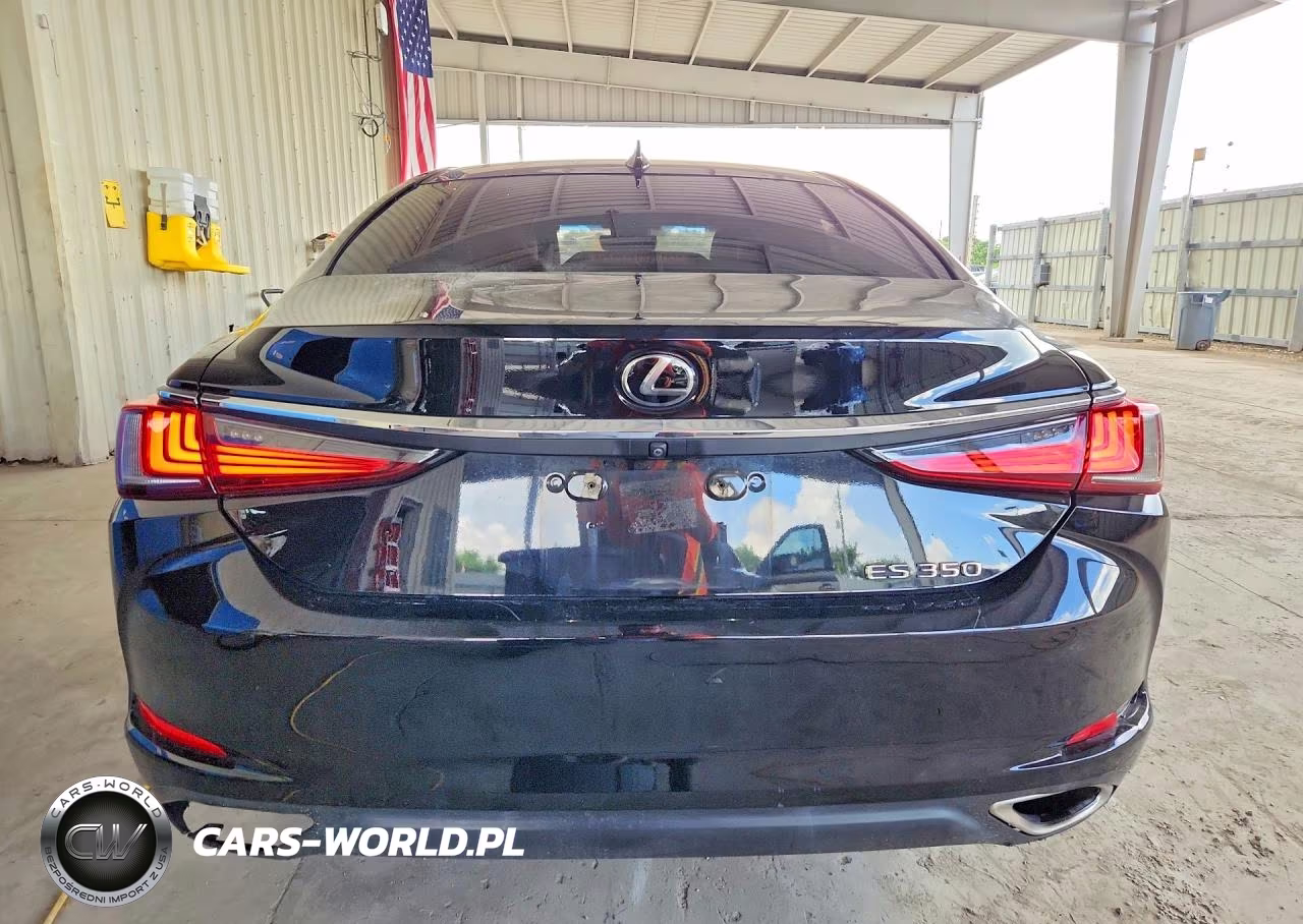 2019 Lexus Es 350 VIN:58ABZ1B12KU043880 - 6