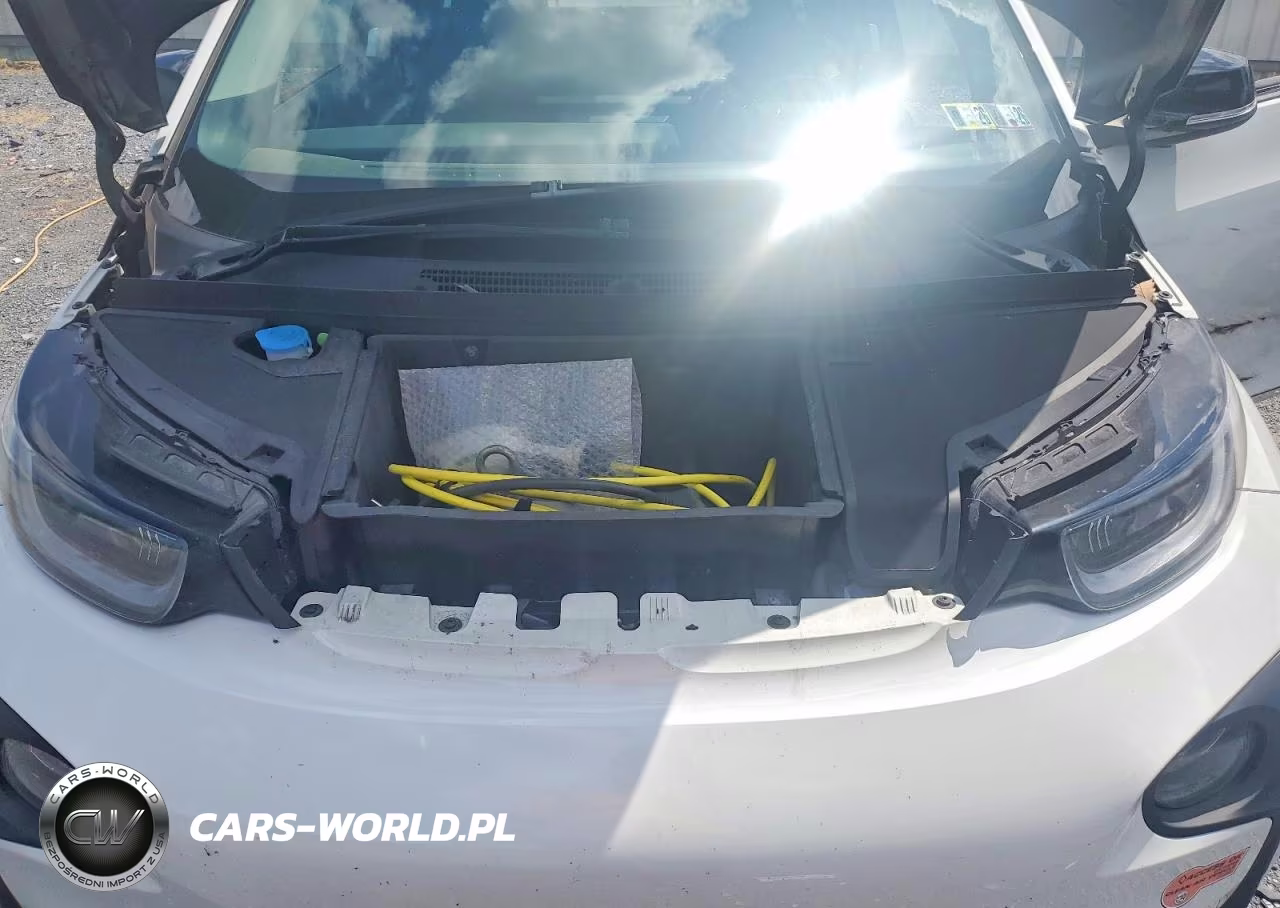 2017 BMW I3 Rex VIN:WBY1Z8C31HV892593 - 11
