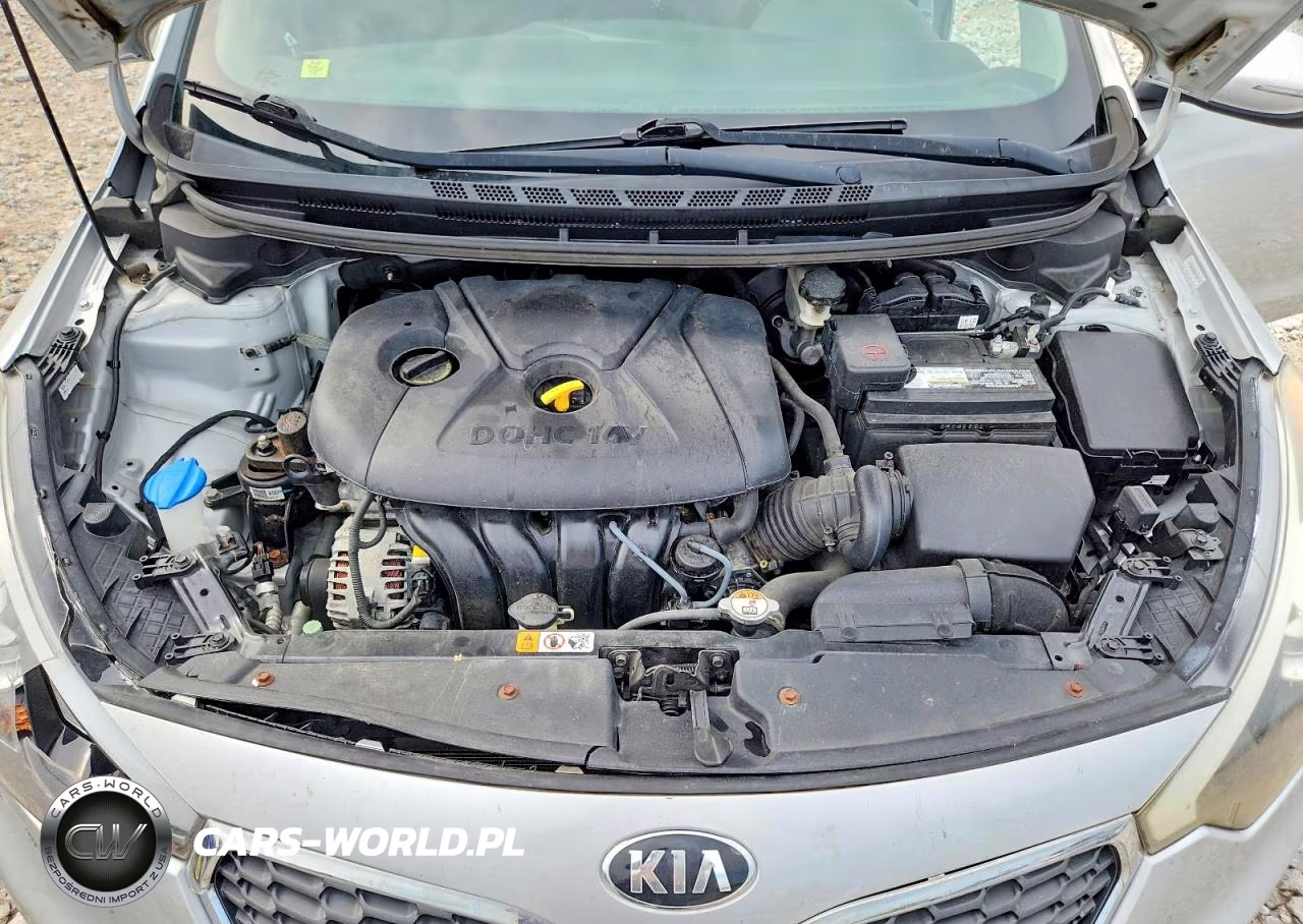 2015 Kia Forte Lx VIN:KNAFX4A66F5342805 - 11