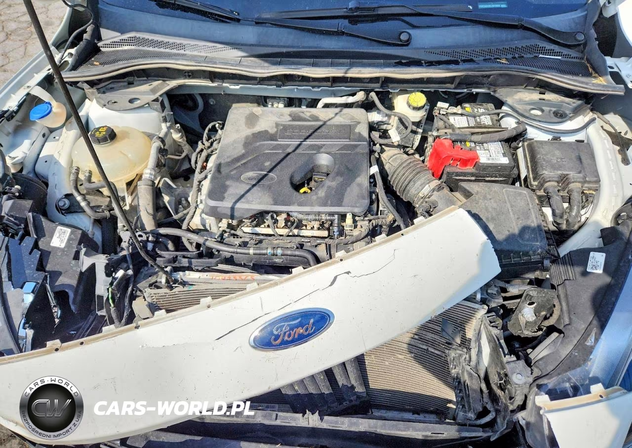 2020 Ford Escape Sel VIN:1FMCU0H60LUB19668 - 12
