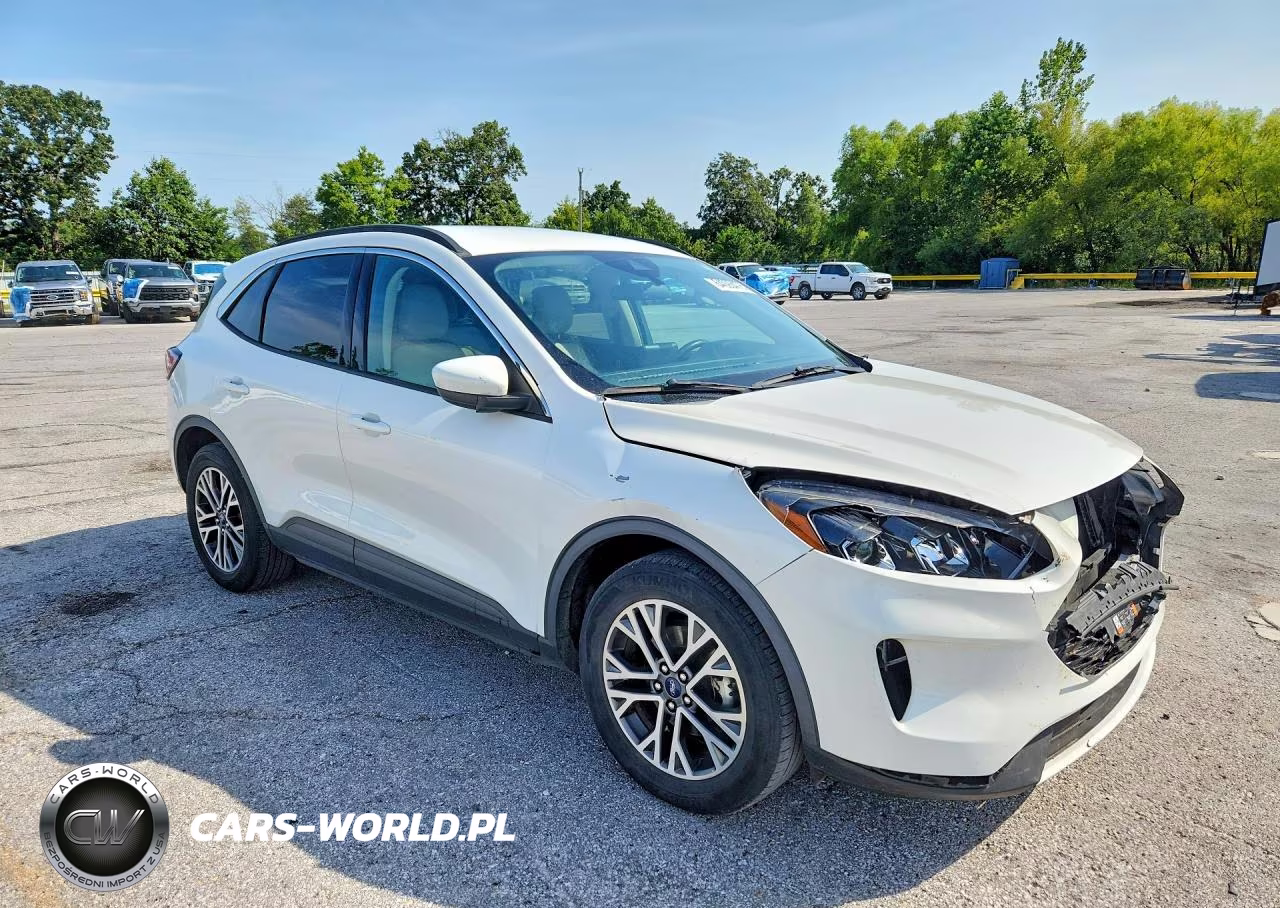 2020 Ford Escape Sel VIN:1FMCU0H60LUB19668 - 4