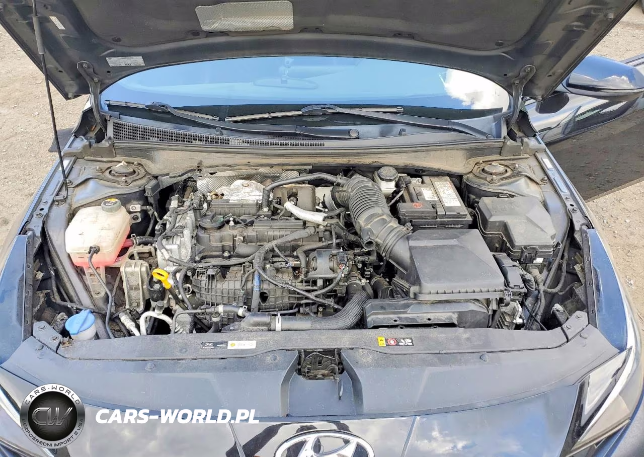 2022 Hyundai Elantra N Base VIN:KMHLW4AKXNU005866 - 11