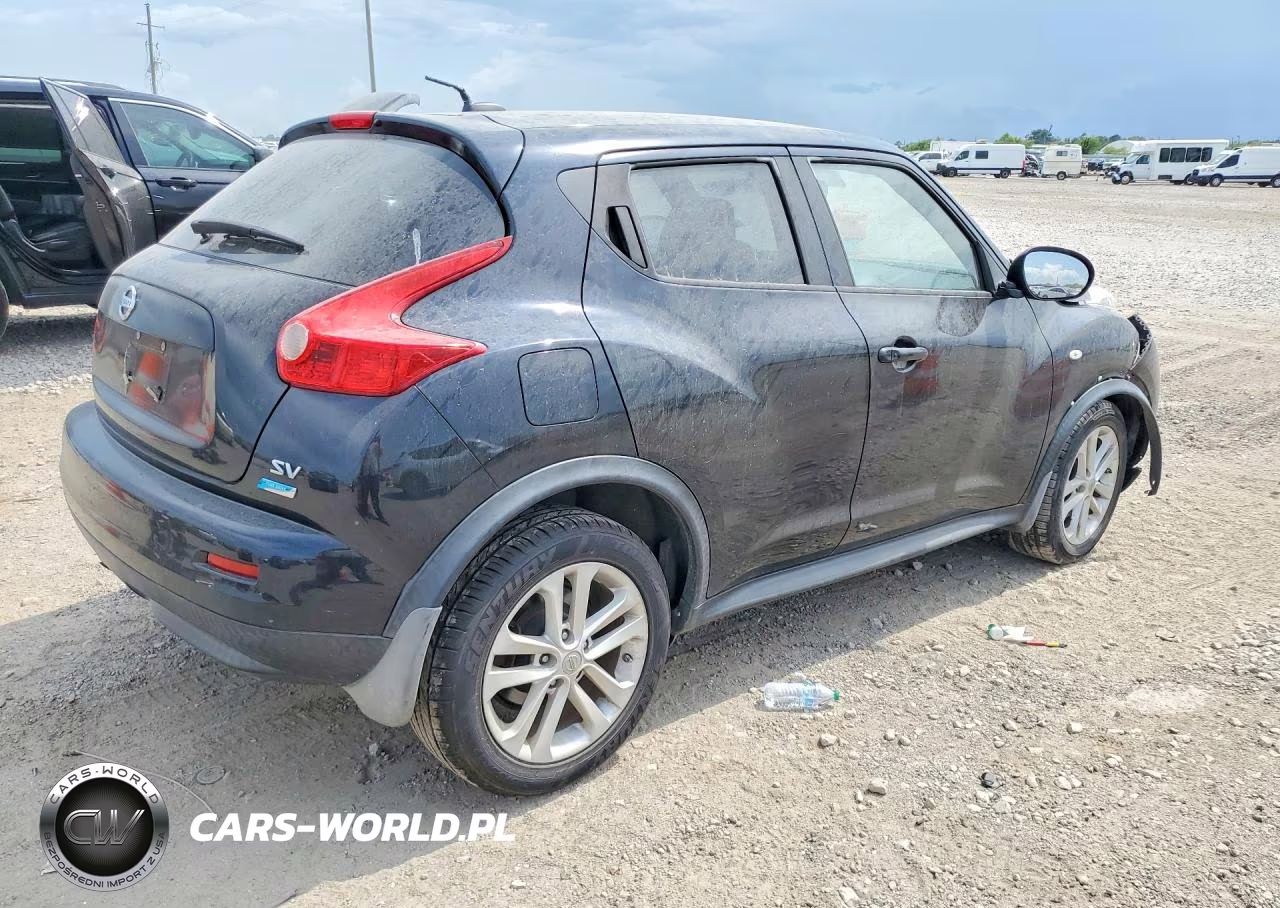 2013 Nissan Juke 4X4 S-Sv-Sl-Nis VIN:JN8AF5MRXDT215502 - 3