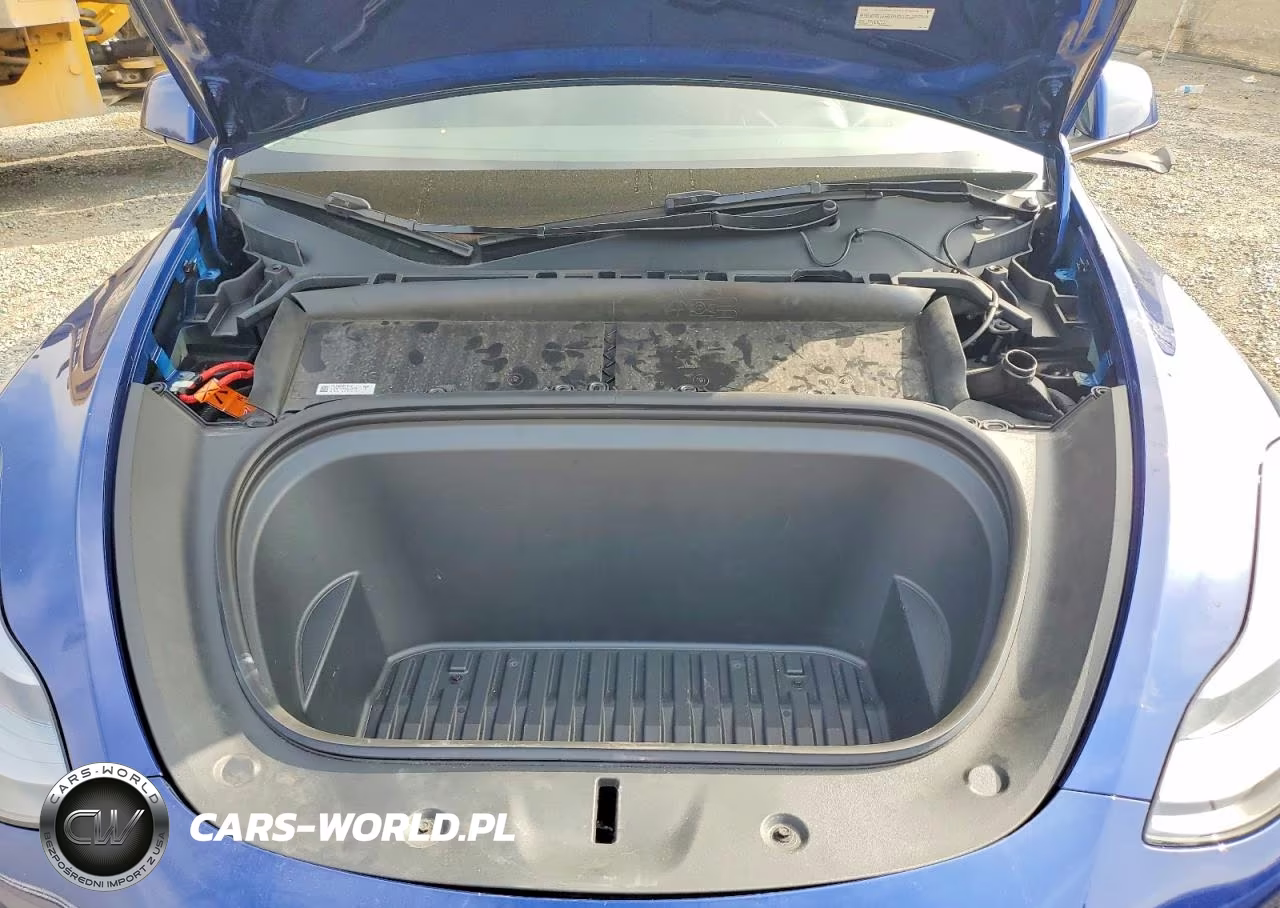 2025 Tesla Model Y VIN:7SAYGAEE5SF217561 - 12