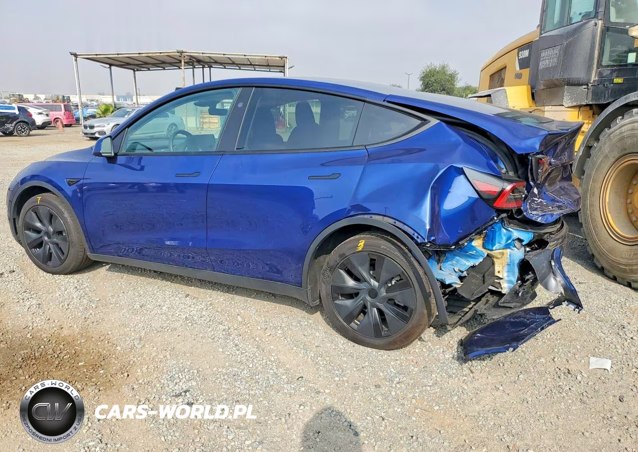 2025 Tesla Model Y VIN:7SAYGAEE5SF217561 - 2