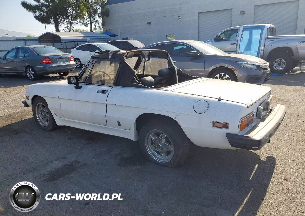 1982 Alfa Romeo Veloce 2000 Spider VIN:ZARBA5413C1014064 - 2