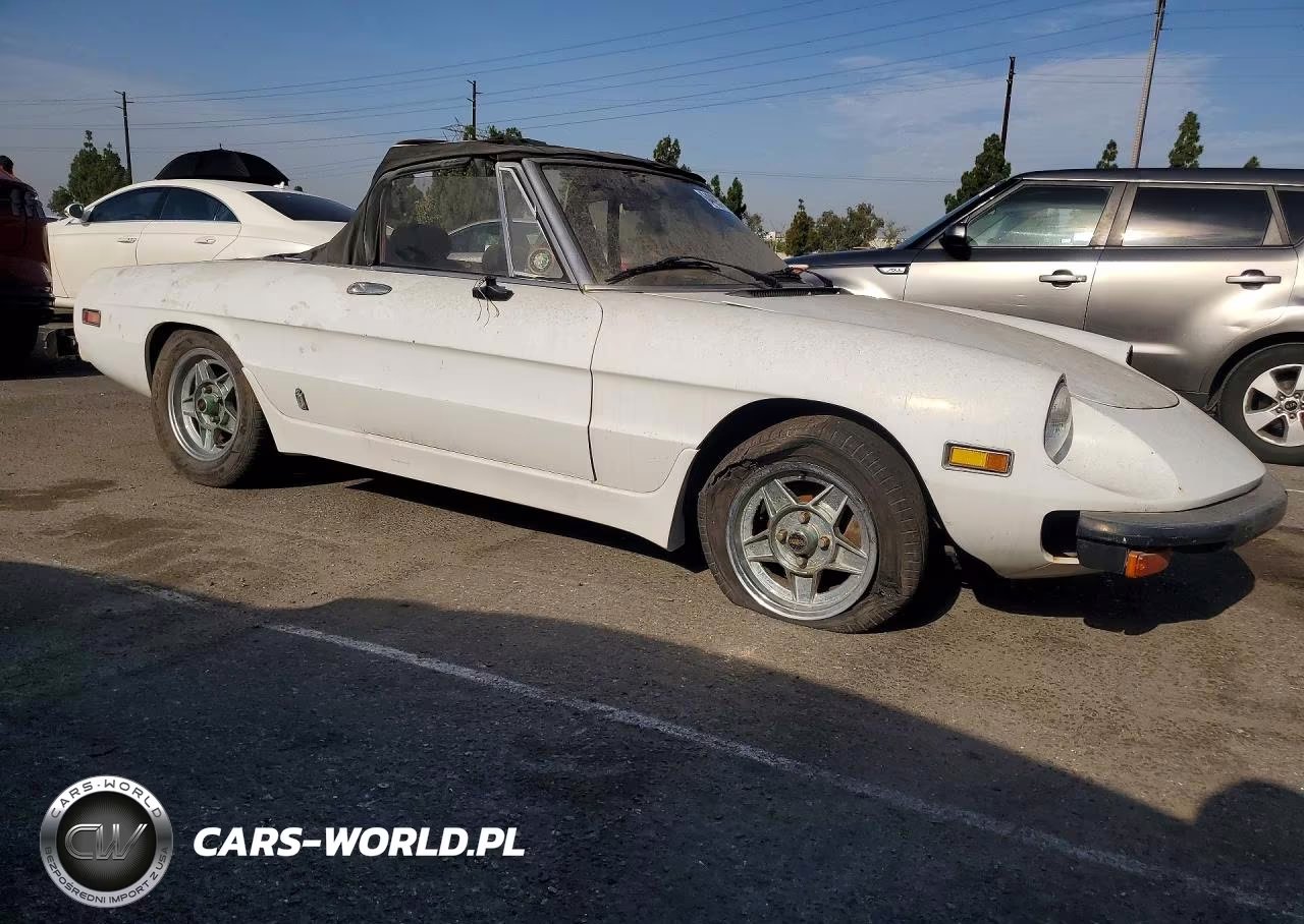 1982 Alfa Romeo Veloce 2000 Spider VIN:ZARBA5413C1014064 - 4