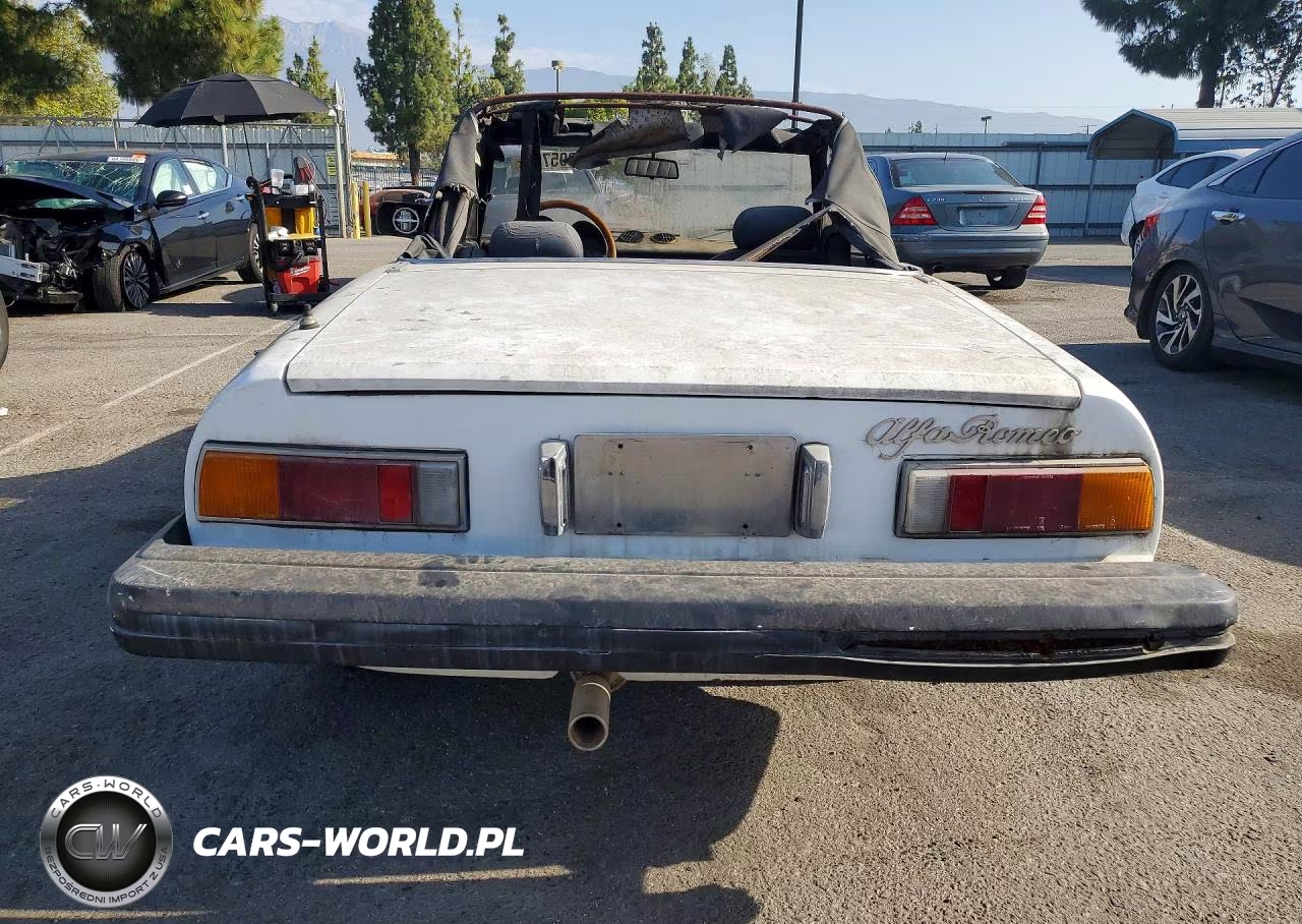 1982 Alfa Romeo Veloce 2000 Spider VIN:ZARBA5413C1014064 - 6