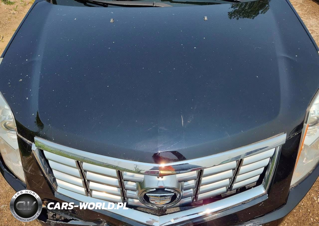 2014 Cadillac Srx Luxury Collection VIN:3GYFNEE39ES650001 - 12