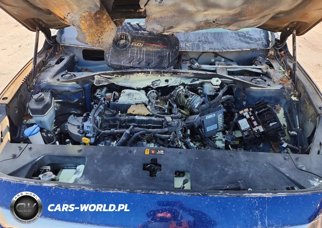 2020 Hyundai Santa Fe Sel 2.0T VIN:5NMS33AA4LH259572 - 12