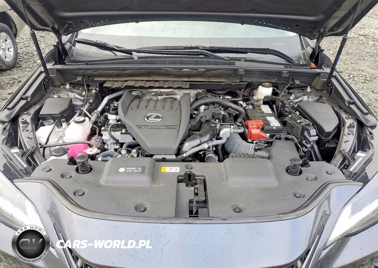 2025 Lexus Nx 350 Premium VIN:2T2GGCEZ4SC077851 - 11