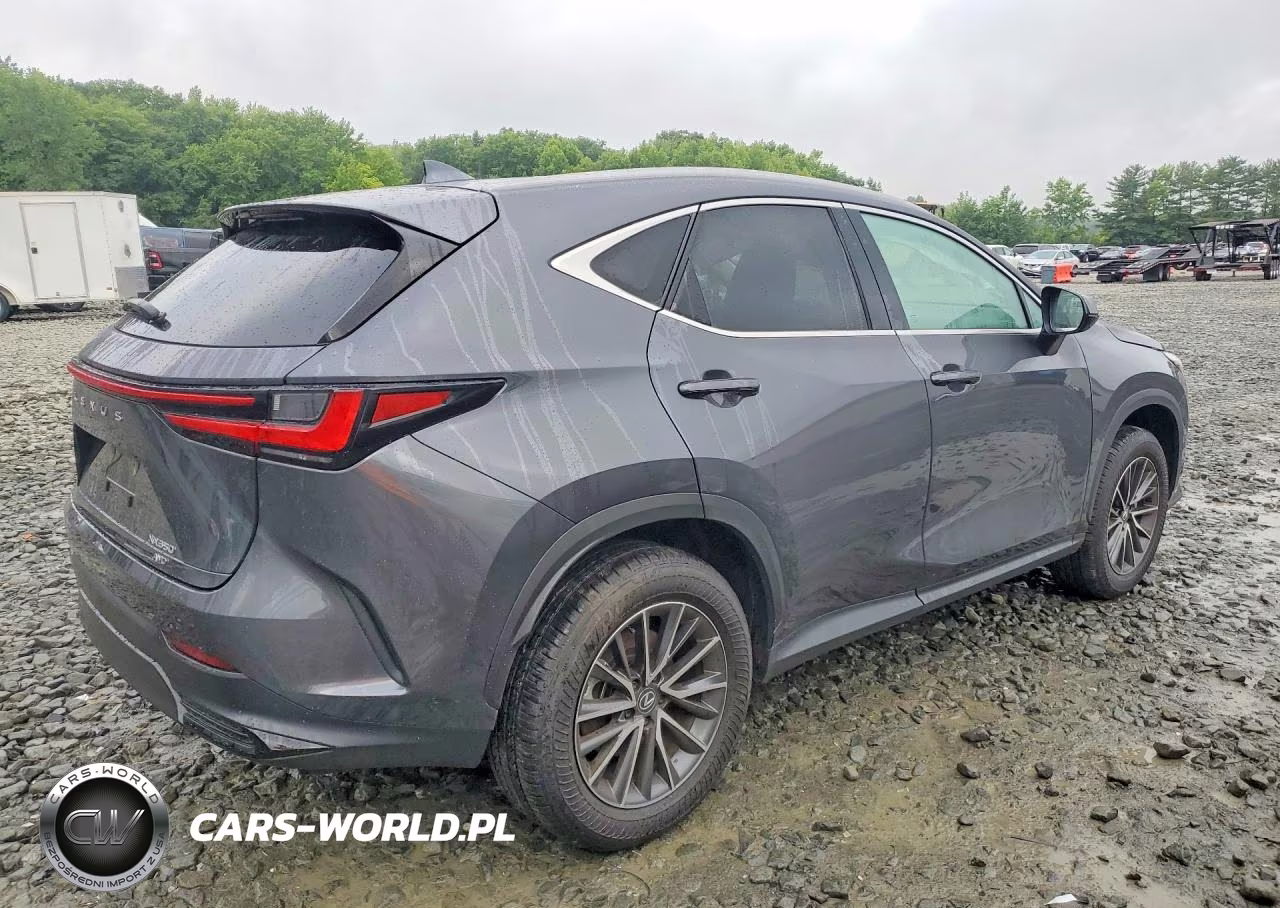 2025 Lexus Nx 350 Premium VIN:2T2GGCEZ4SC077851 - 3