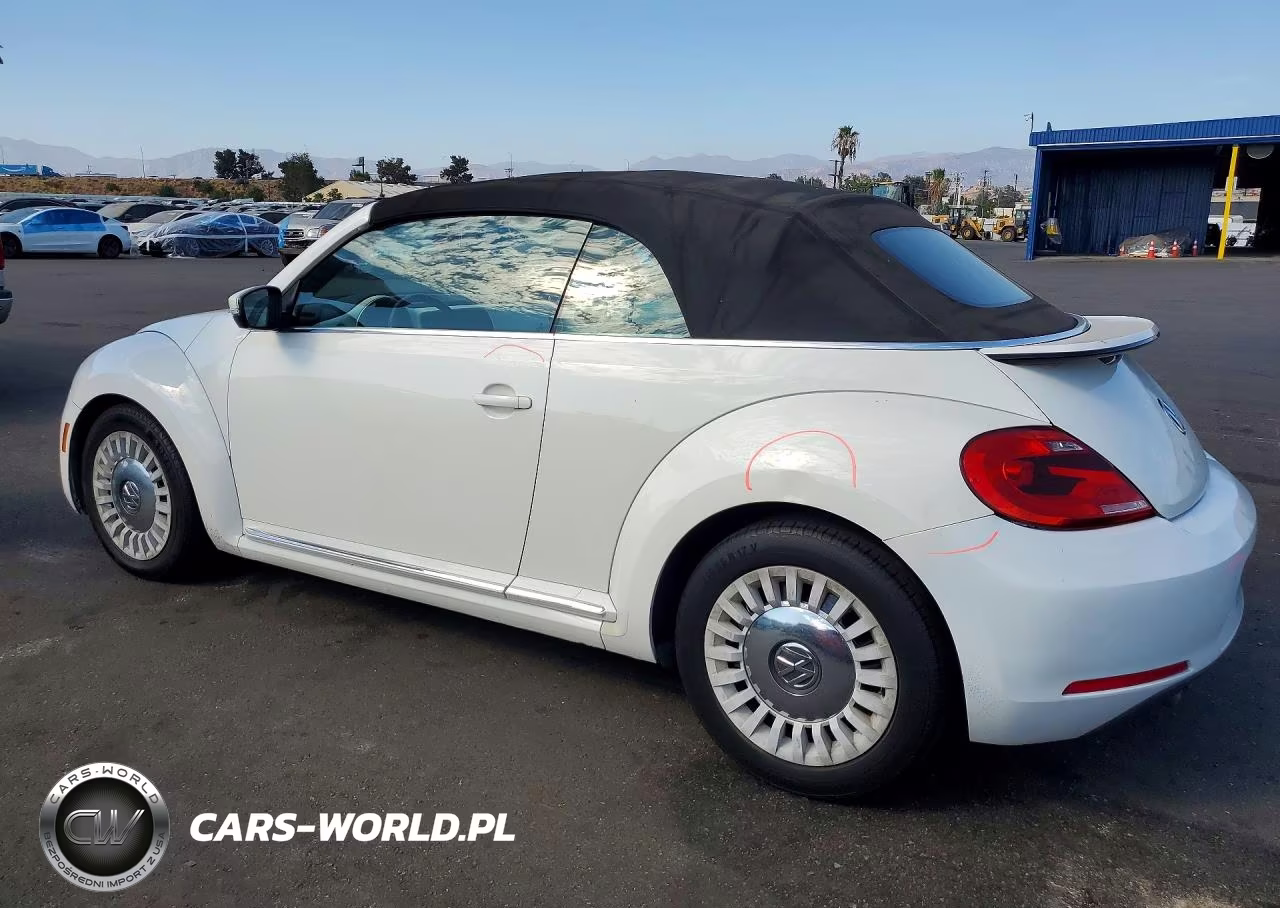 2013 Volkswagen Beetle VIN:3VW5P7AT5DM826183 - 2