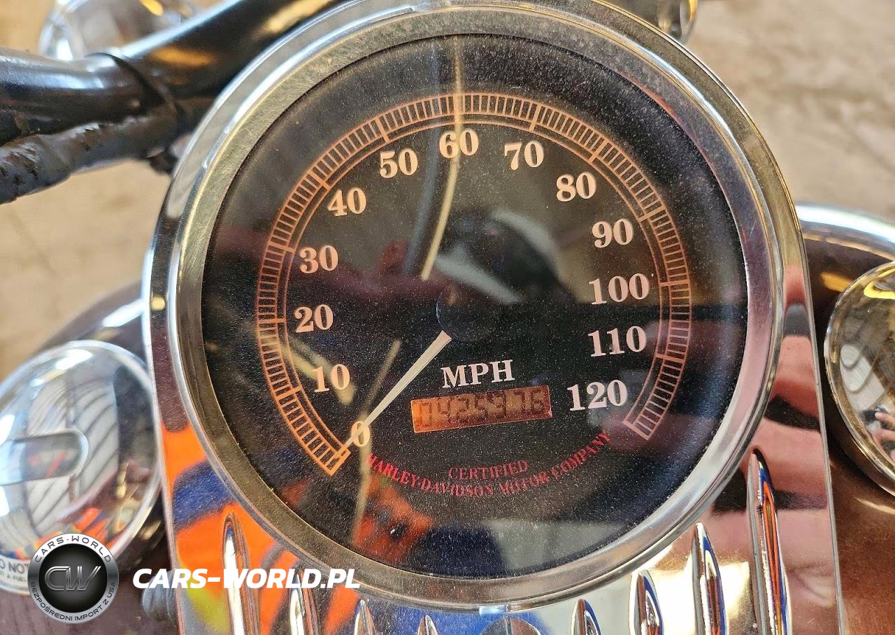 1998 Harley-Davidson Flhrci Anniversary VIN:1HD1FRR49WY626829 - 7