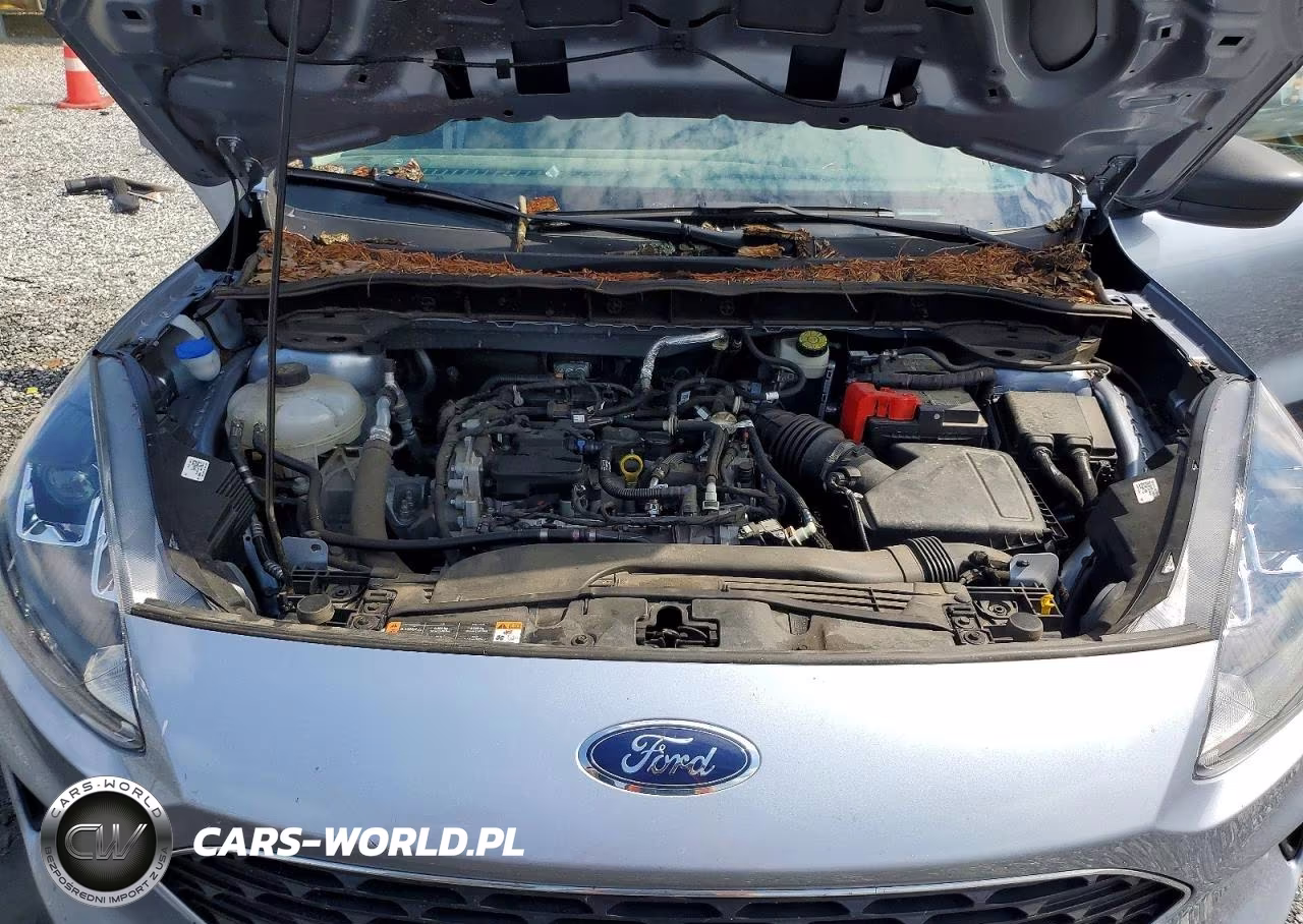 2022 Ford Escape Se VIN:1FMCU9G66NUB97042 - 12