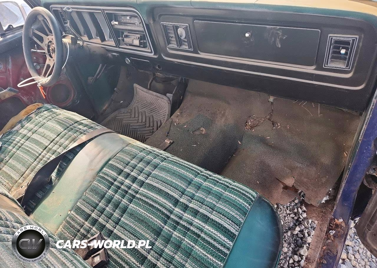 1978 Ford F-150 VIN:F15GKBJ1512 - 8