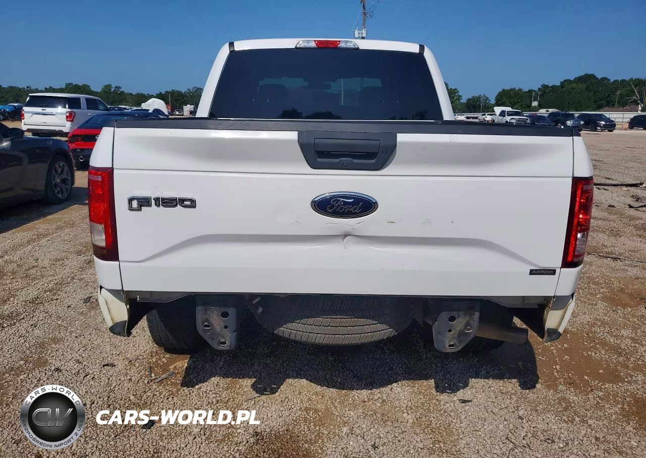 2017 Ford F150 Supercrew VIN:1FTEW1CP5HFB60953 - 6