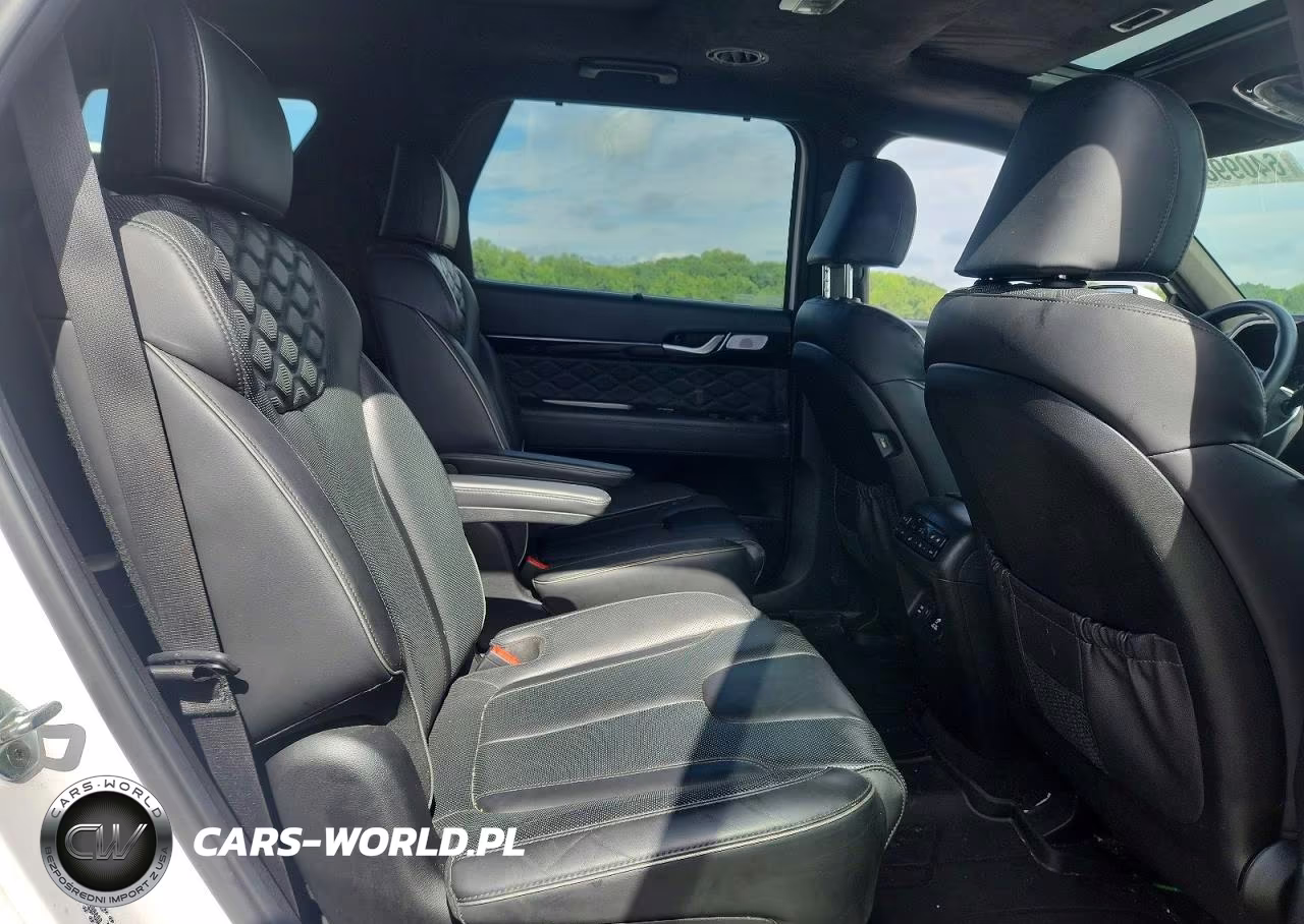 2022 Hyundai Palisade Calligraphy VIN:KM8R74HE2NU398088 - 11