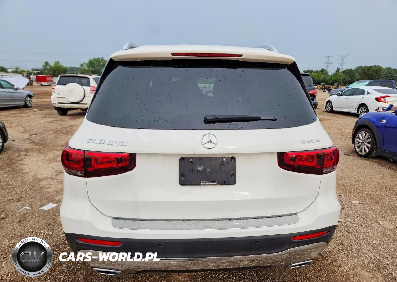 2022 Mercedes-Benz Glb 250 4Matic VIN:W1N4M4HB7NW246754 - 6