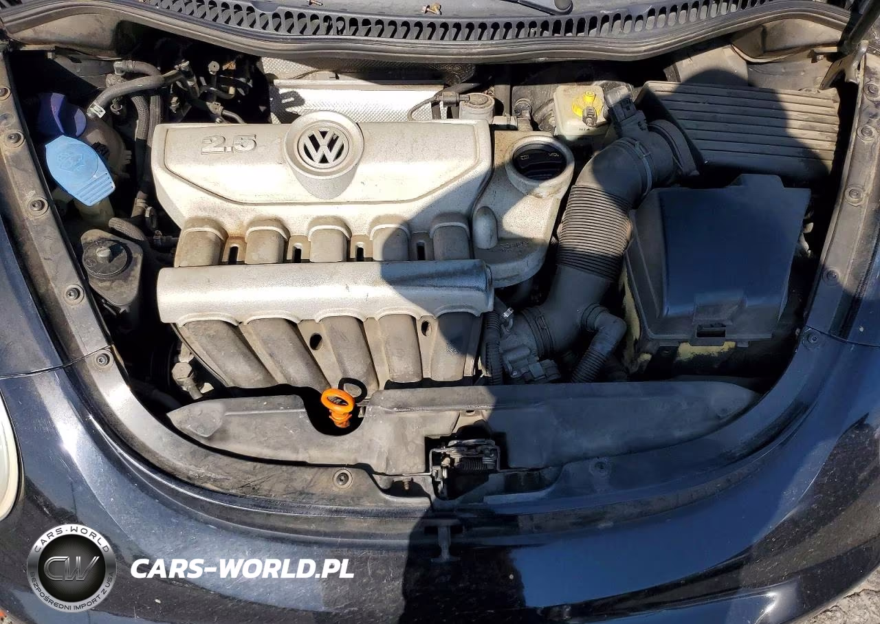 2009 Volkswagen New Beetle S VIN:3VWRG31C49M513420 - 11