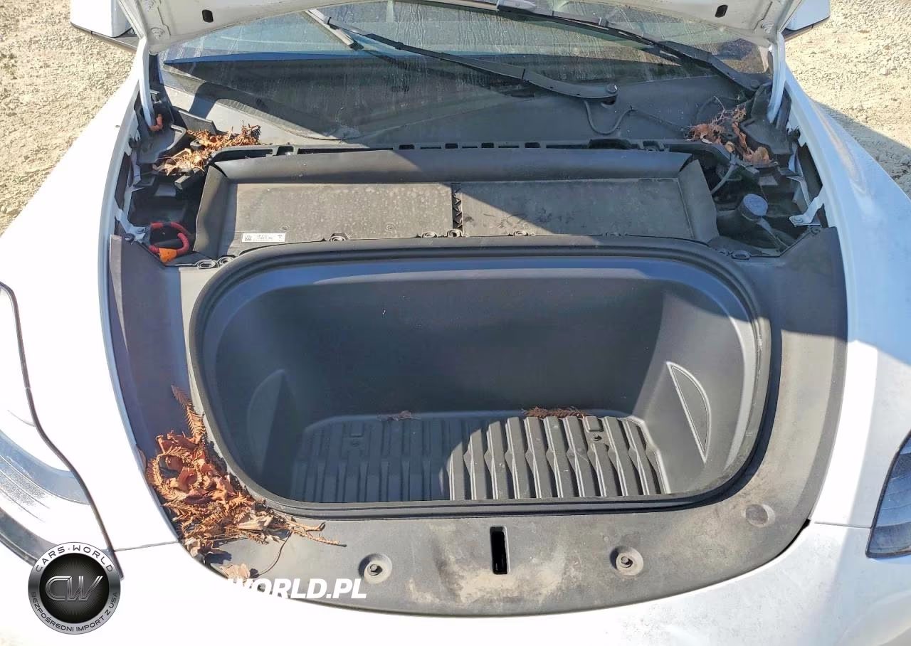 2023 Tesla Model Y VIN:7SAYGDEE1PF747437 - 12