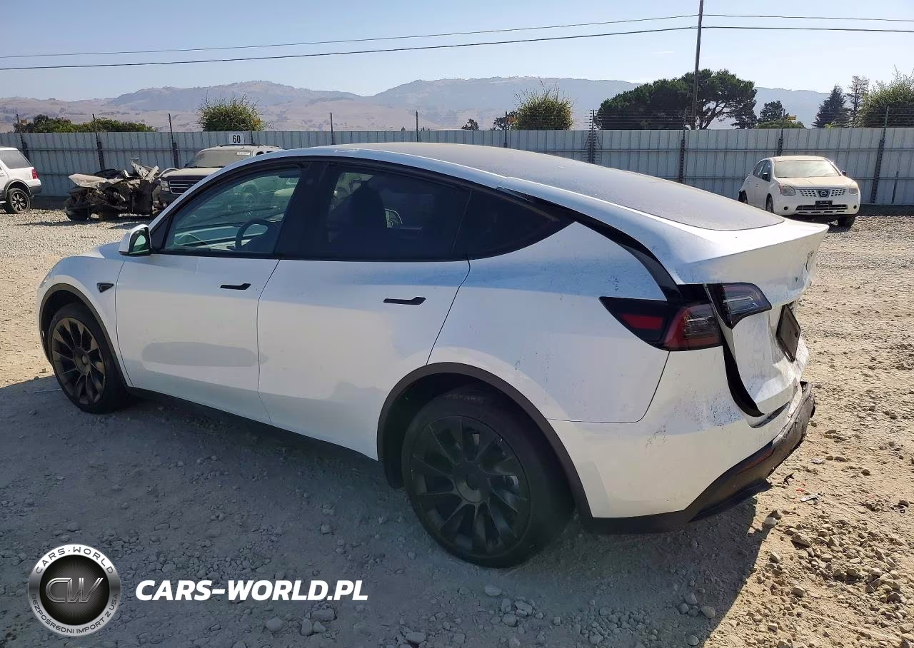2023 Tesla Model Y VIN:7SAYGDEE1PF747437 - 2