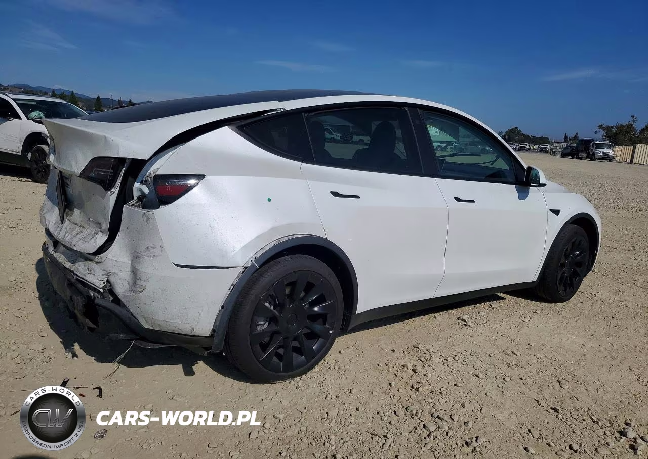 2023 Tesla Model Y VIN:7SAYGDEE1PF747437 - 3
