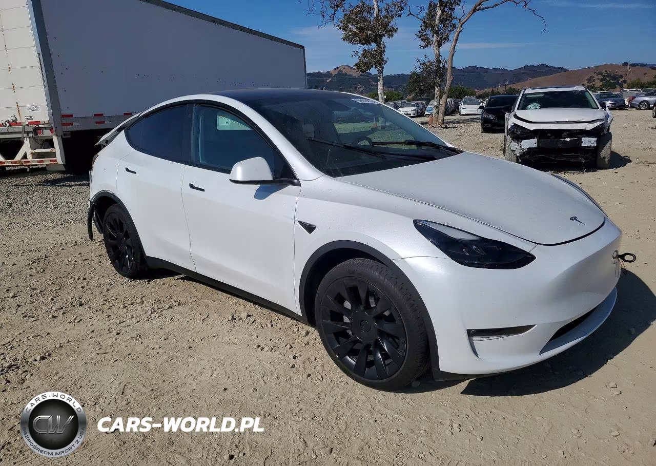 2023 Tesla Model Y VIN:7SAYGDEE1PF747437 - 4