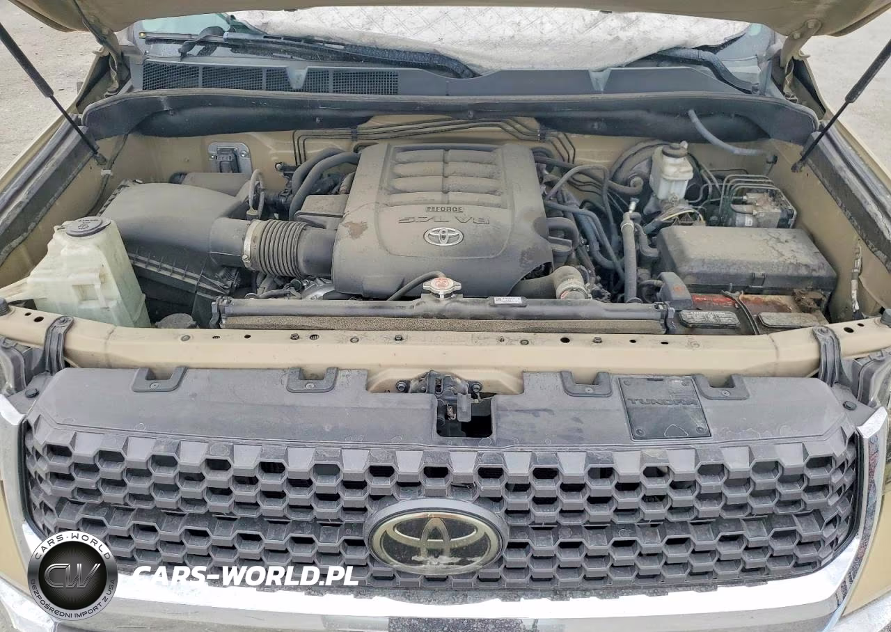 2019 Toyota Tundra Sr5 VIN:5TFDY5F17KX802191 - 11