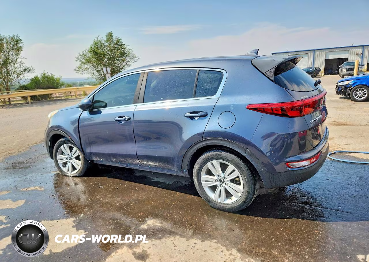 2019 Kia Sportage Lx VIN:KNDPM3AC7K7556507 - 2