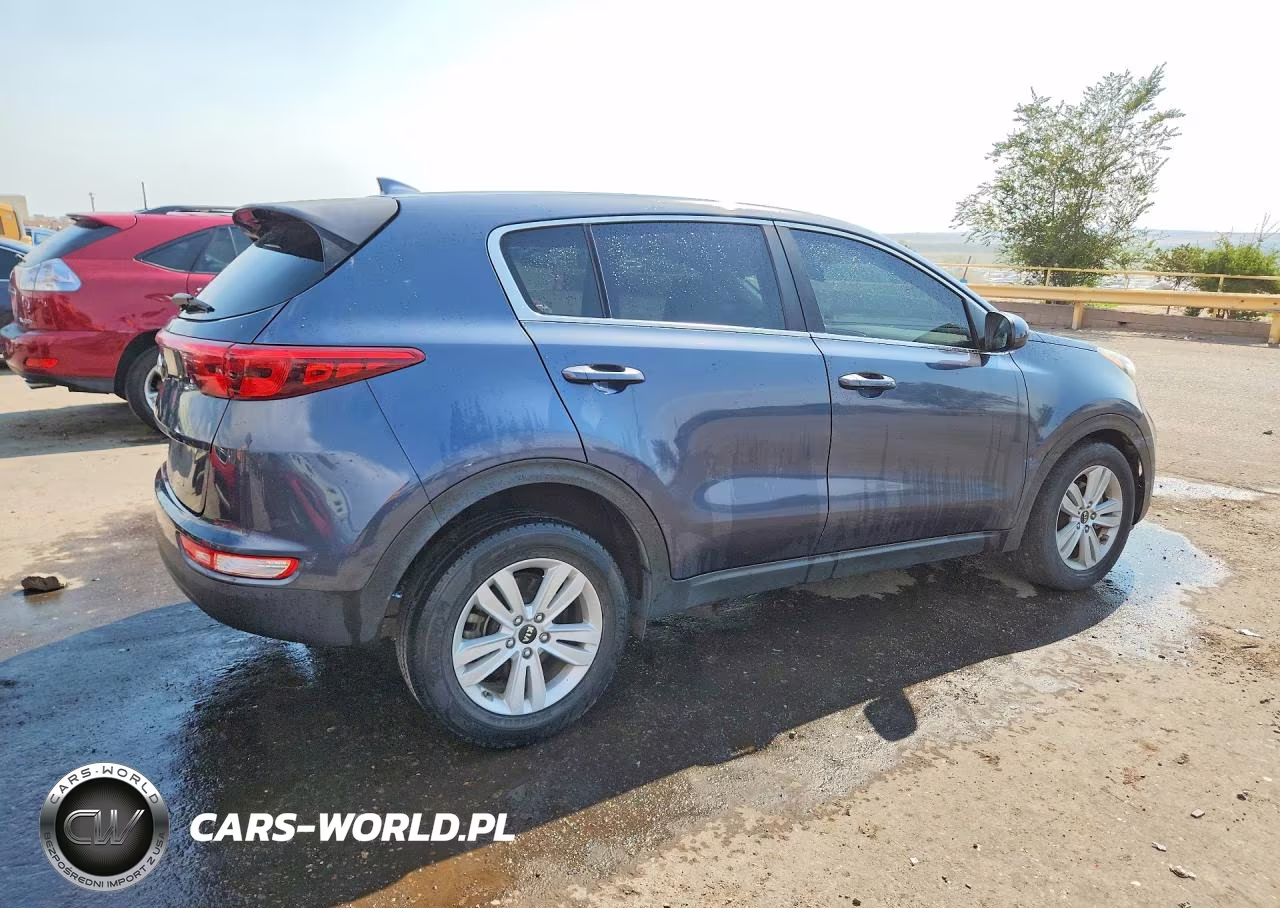 2019 Kia Sportage Lx VIN:KNDPM3AC7K7556507 - 3