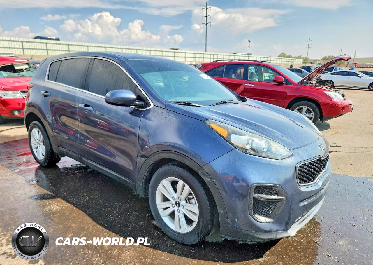 2019 Kia Sportage Lx VIN:KNDPM3AC7K7556507 - 4