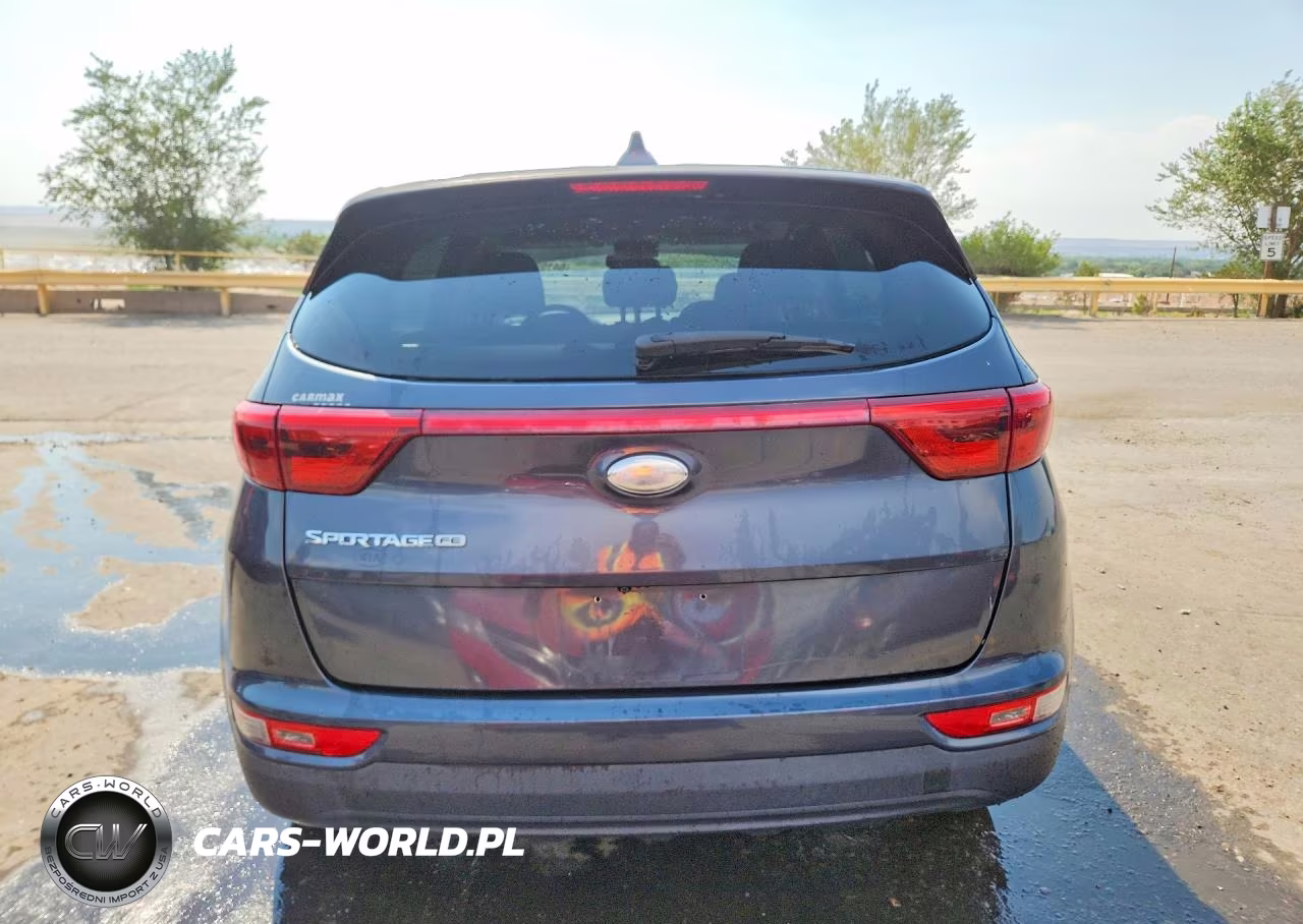 2019 Kia Sportage Lx VIN:KNDPM3AC7K7556507 - 6