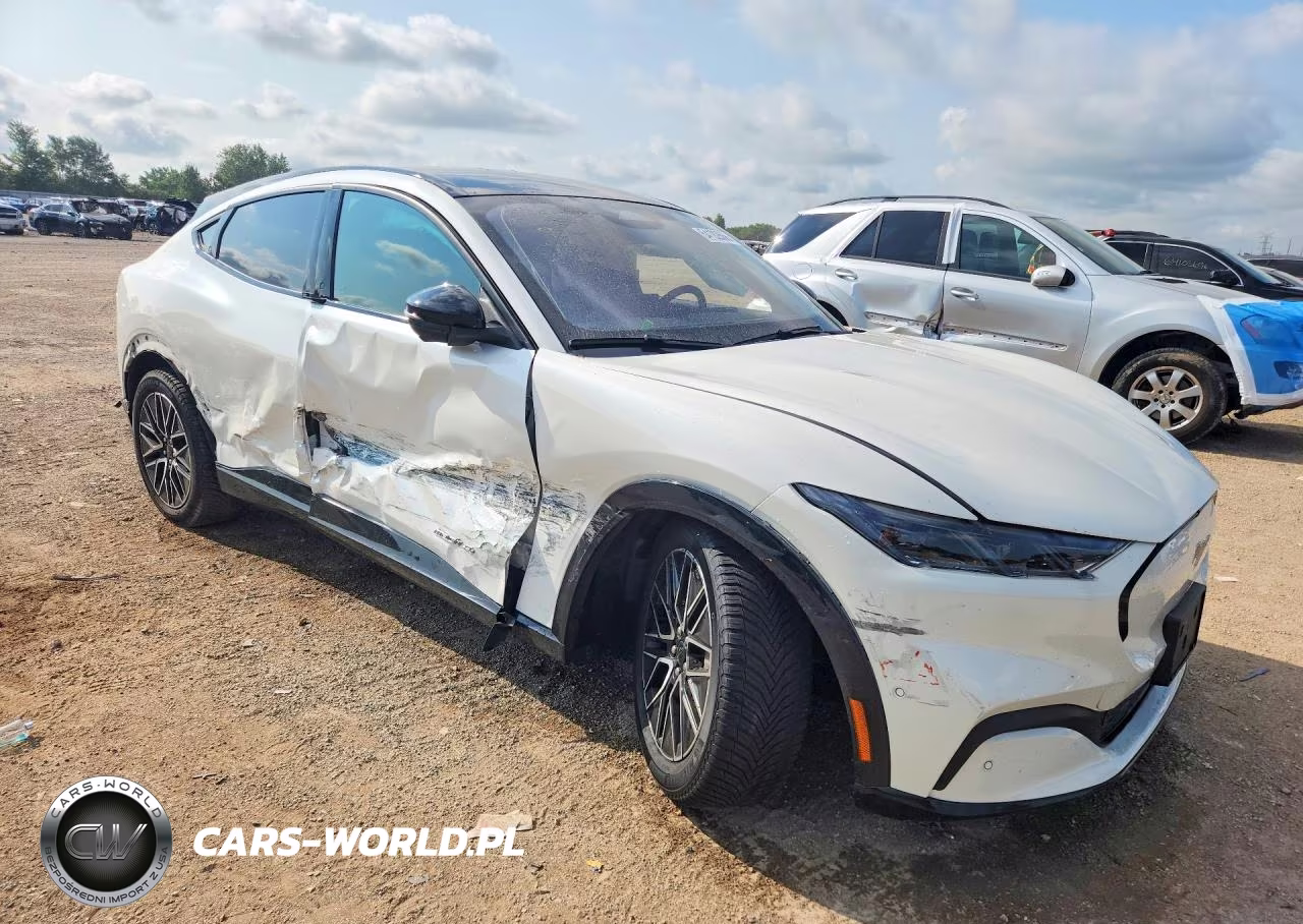 2024 Ford Mustang Mach-E Premium VIN:3FMTK3S54RMA14720 - 4