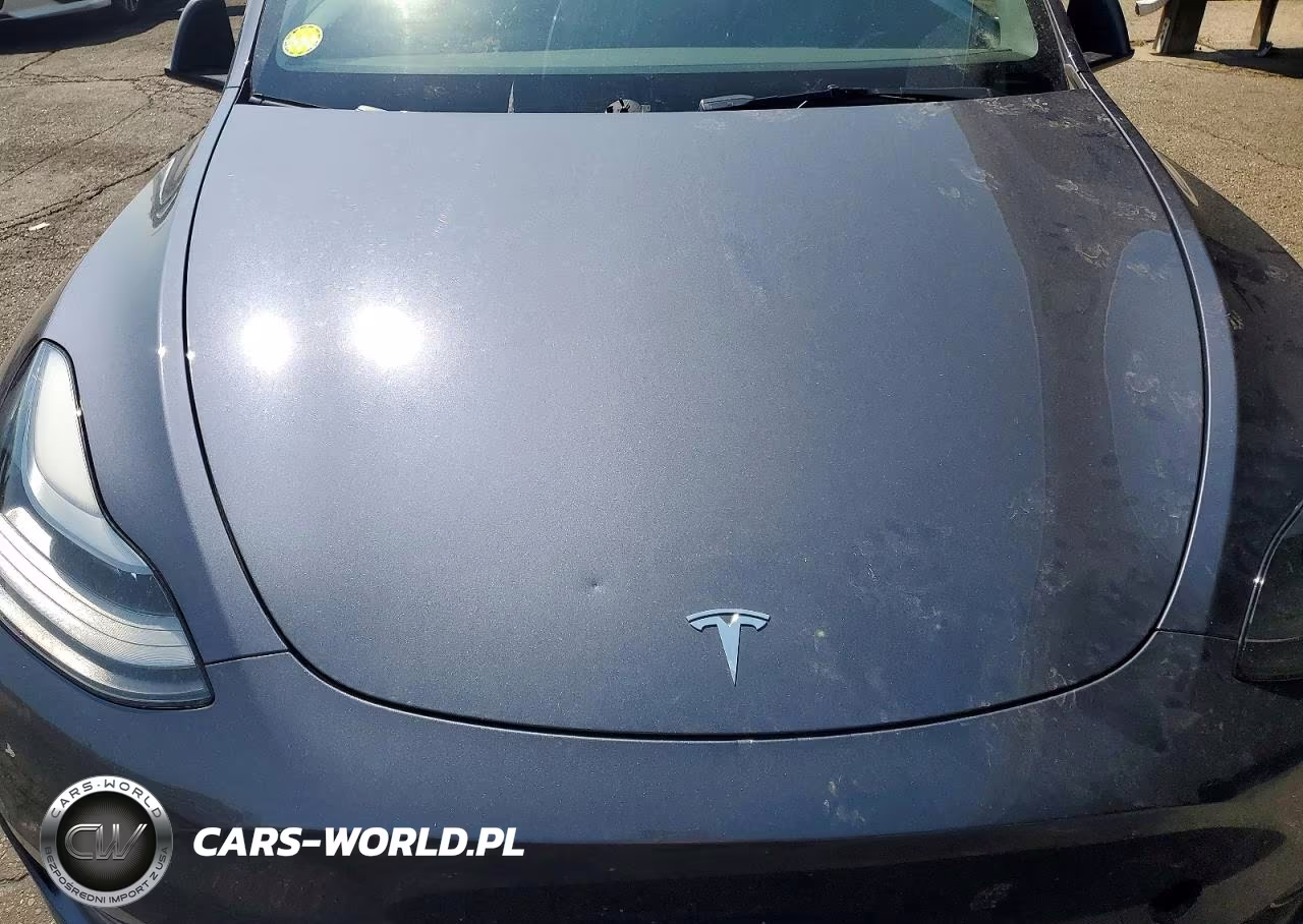 2023 Tesla Model Y VIN:7SAYGDEE8PA176607 - 11