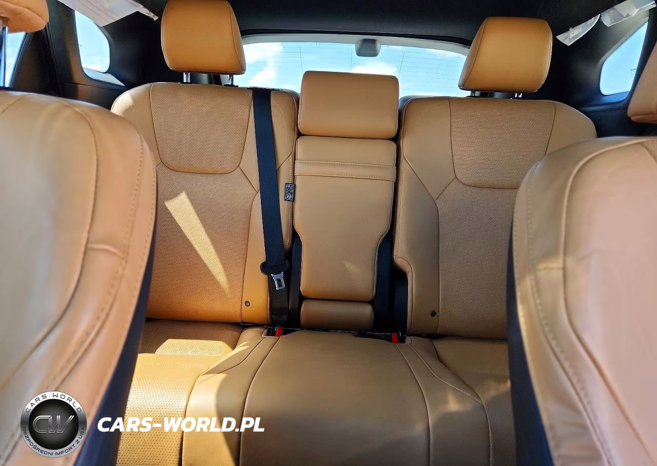 2023 Lexus Rx 350 Premium+ VIN:2T2BAMBAXPC005947 - 10
