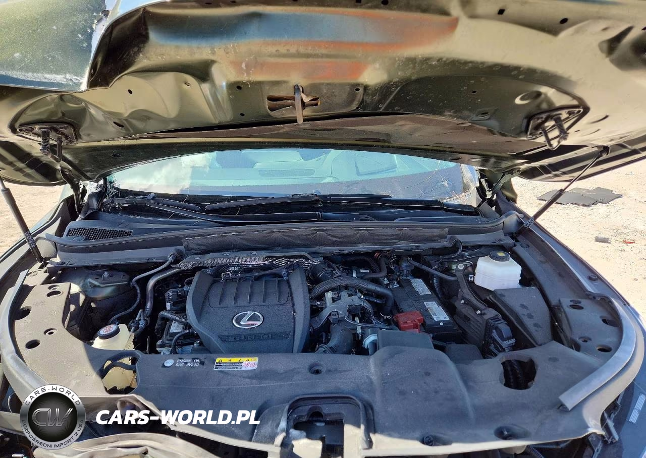 2023 Lexus Rx 350 Premium+ VIN:2T2BAMBAXPC005947 - 12
